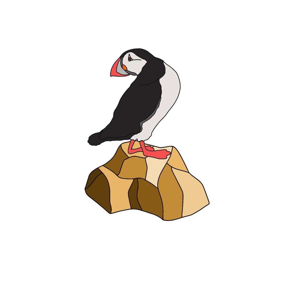 Vector illustration of the Atlantic puffin. Funny Northern bird isolated on a white background in cartoon style . For banners, textiles, Wallpapers, postcards, website design, web pages, etc.