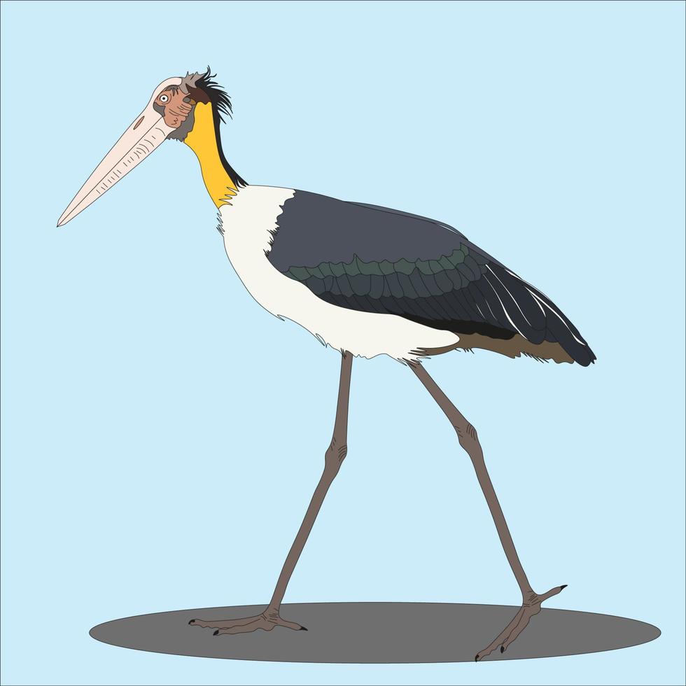 ilustración el Tong Tong cigüeña es un especies de pájaro en el ciconiidae familia. dispersado en del Sur Asia desde oriental India a Java isla. vector