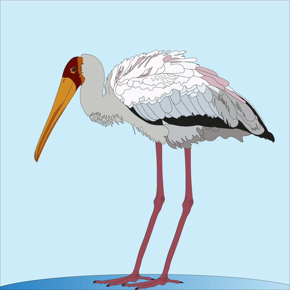 illustration yellow-billed crane is a species of African great stork. This bird is spread in the southern region of the Sahara vector