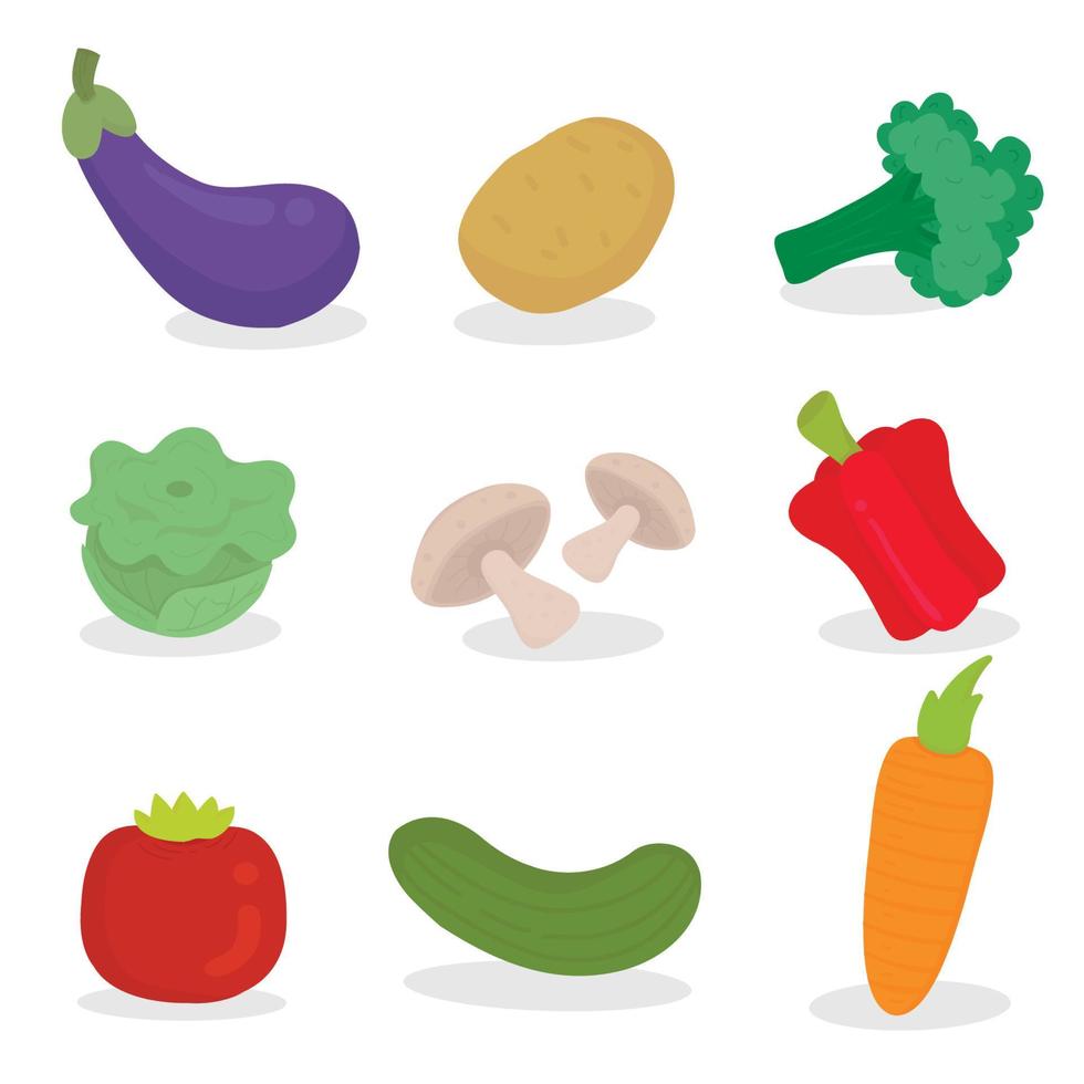 Vector set of the vegetables.