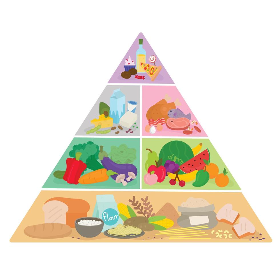 The food pyramid. vector