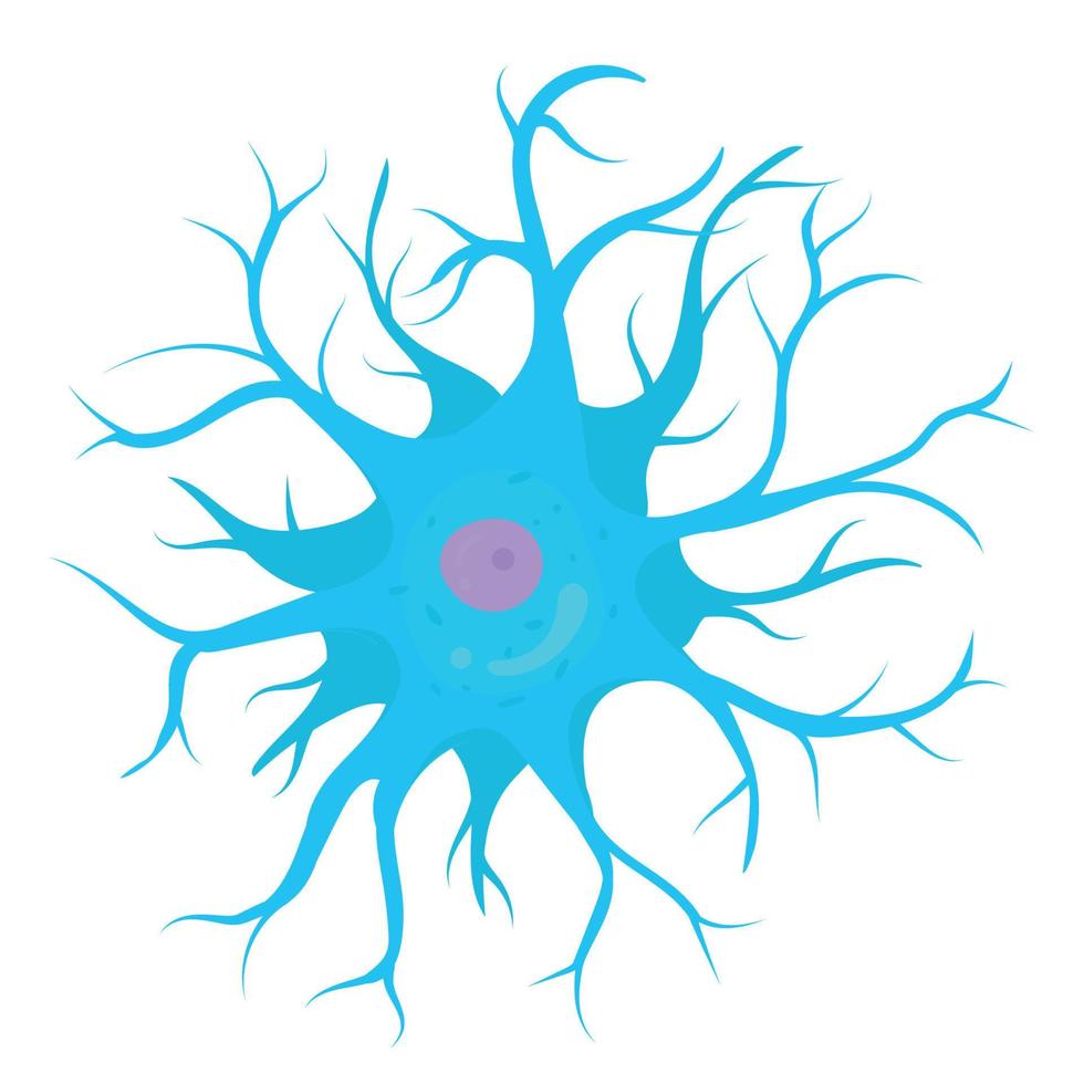 anaxónico neurona celúla. vector