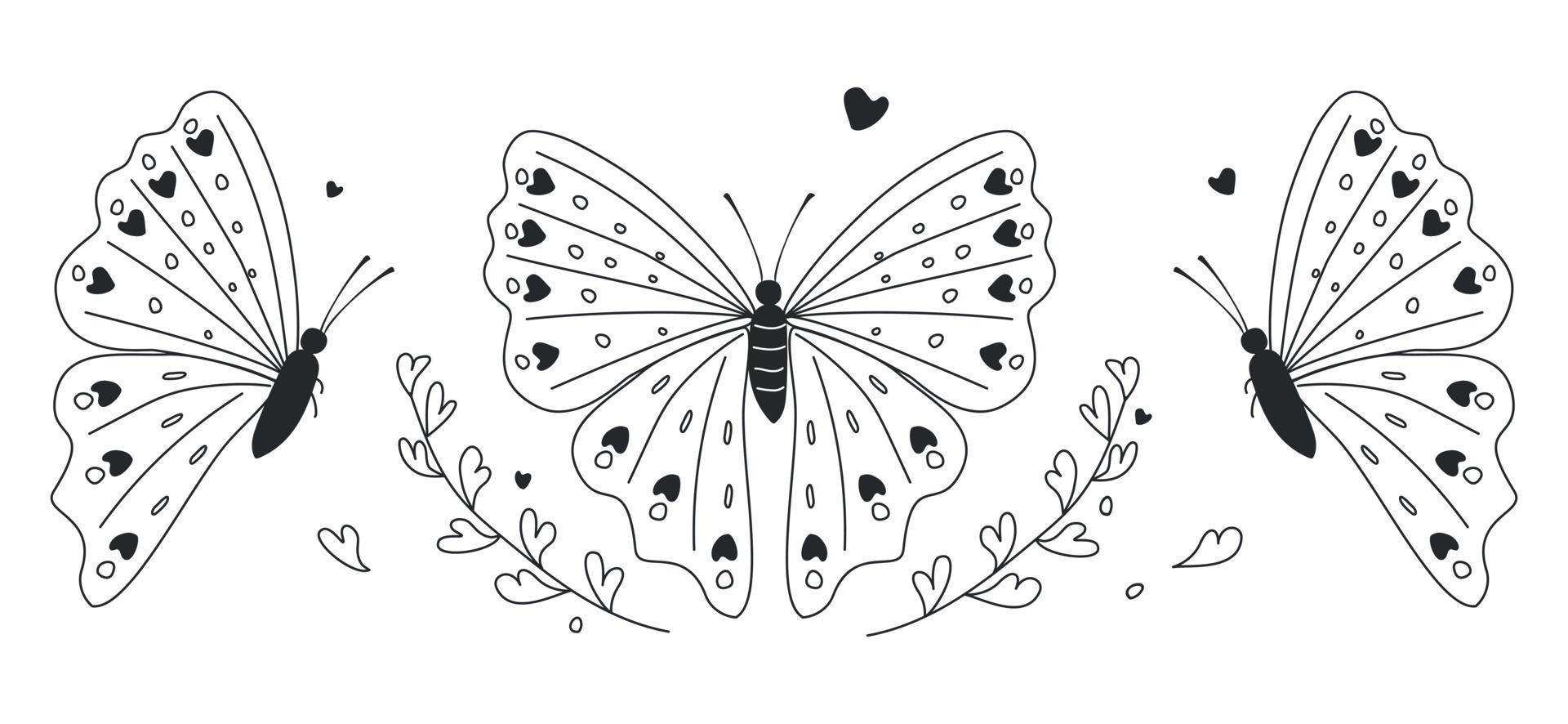 Beautiful butterfly pattern vector