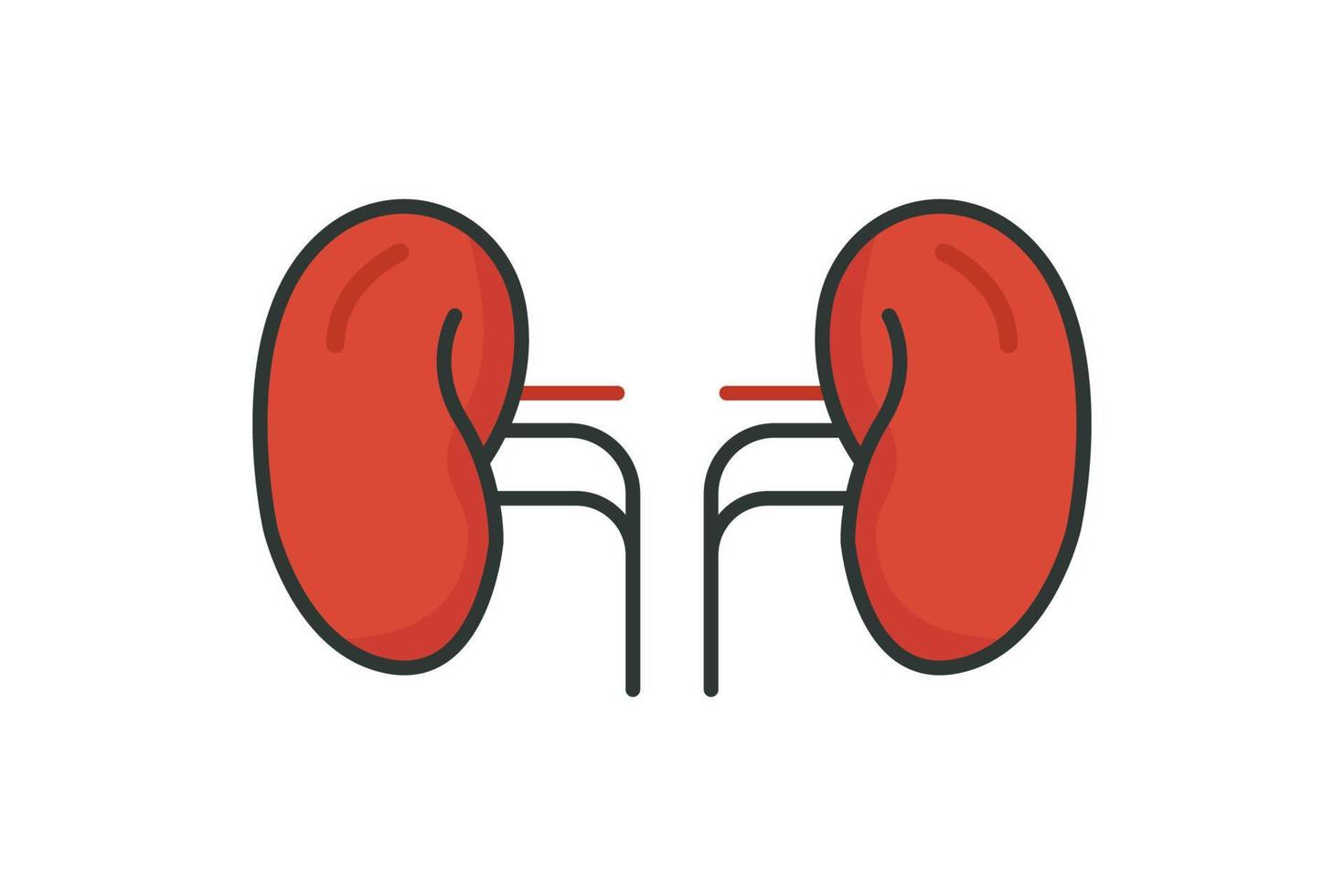 Kidney icon illustration. icon related to human organ. Flat line icon style, lineal color. Simple vector design editable
