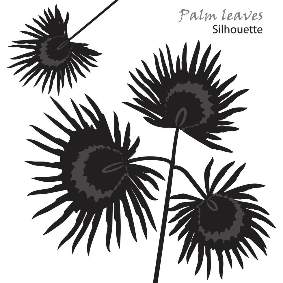 silueta tropical palma hojas negro aislado en blanco antecedentes. vector