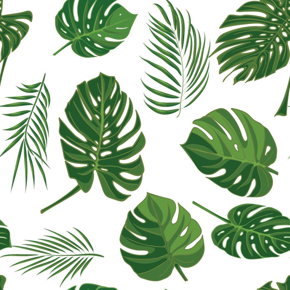 Seamless hand drawn tropical pattern with palm leaves, jungle exotic leaf on white background vector