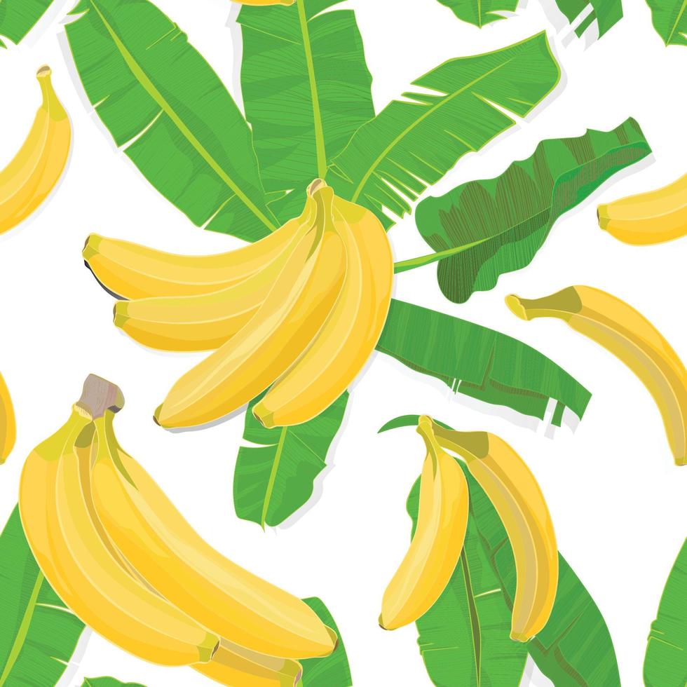 sin costura mano dibujado tropical modelo con palma hojas, selva exótico hoja y plátano Fruta en blanco antecedentes vector