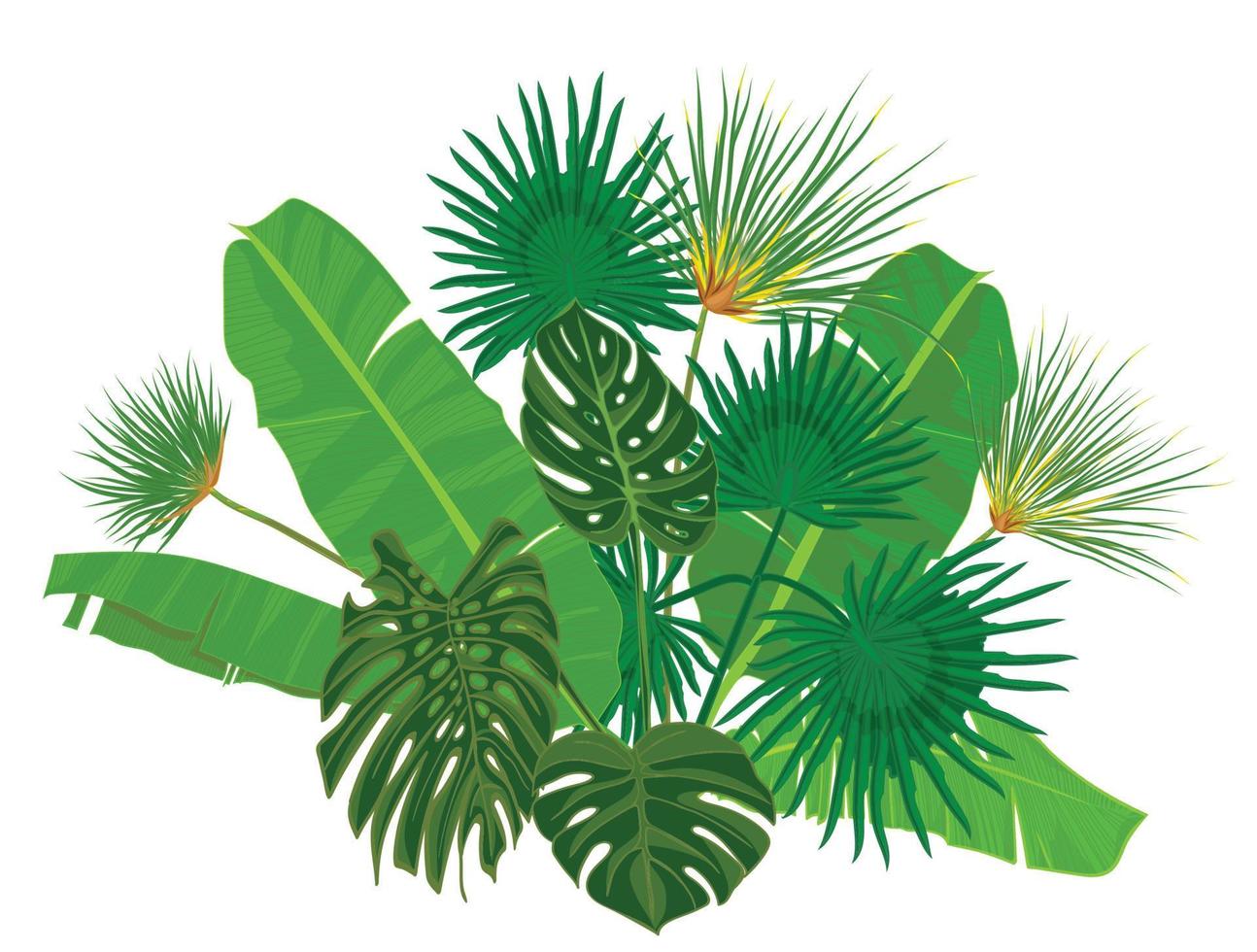 mano dibujado tropical palma hojas composición con selva exótico flor en blanco antecedentes botánico vector ilustración