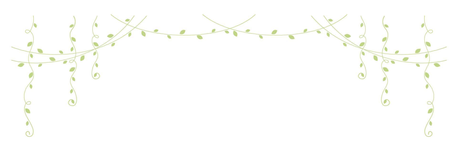 Green hanging vines vector illustration. Simple minimal floral botanical vine curtain design elements for spring.