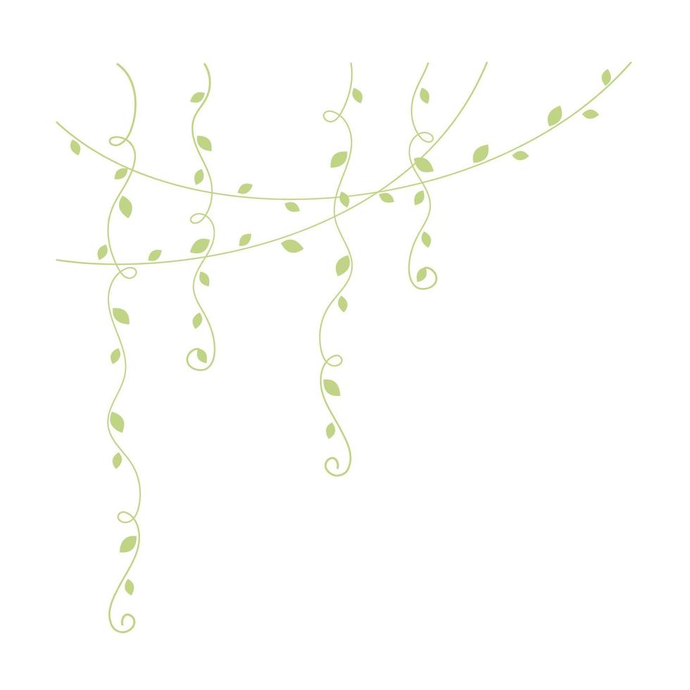 Green hanging vines vector illustration. Simple minimal floral botanical vine curtain design elements for spring.