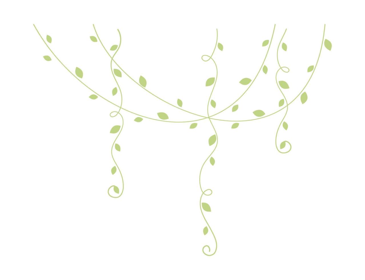 Green hanging vines vector illustration. Simple minimal floral botanical vine curtain design elements for spring.