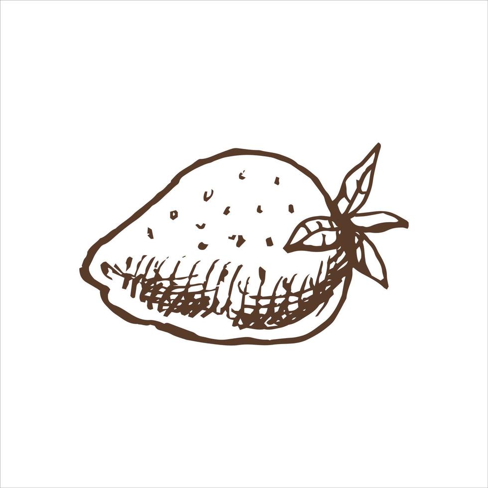 A hand-drawn sketch of  strawberry. Vintage illustration, doodle. Element for the design of labels, packaging and postcards. vector