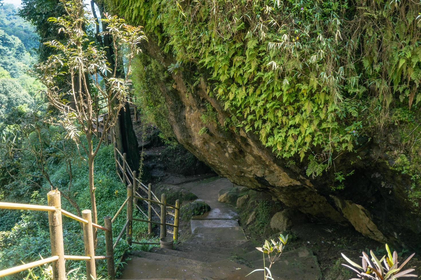 The way going to great cave on the tropical forest when spring season. The photo is suitable to use for adventure content media, nature poster and forest background.