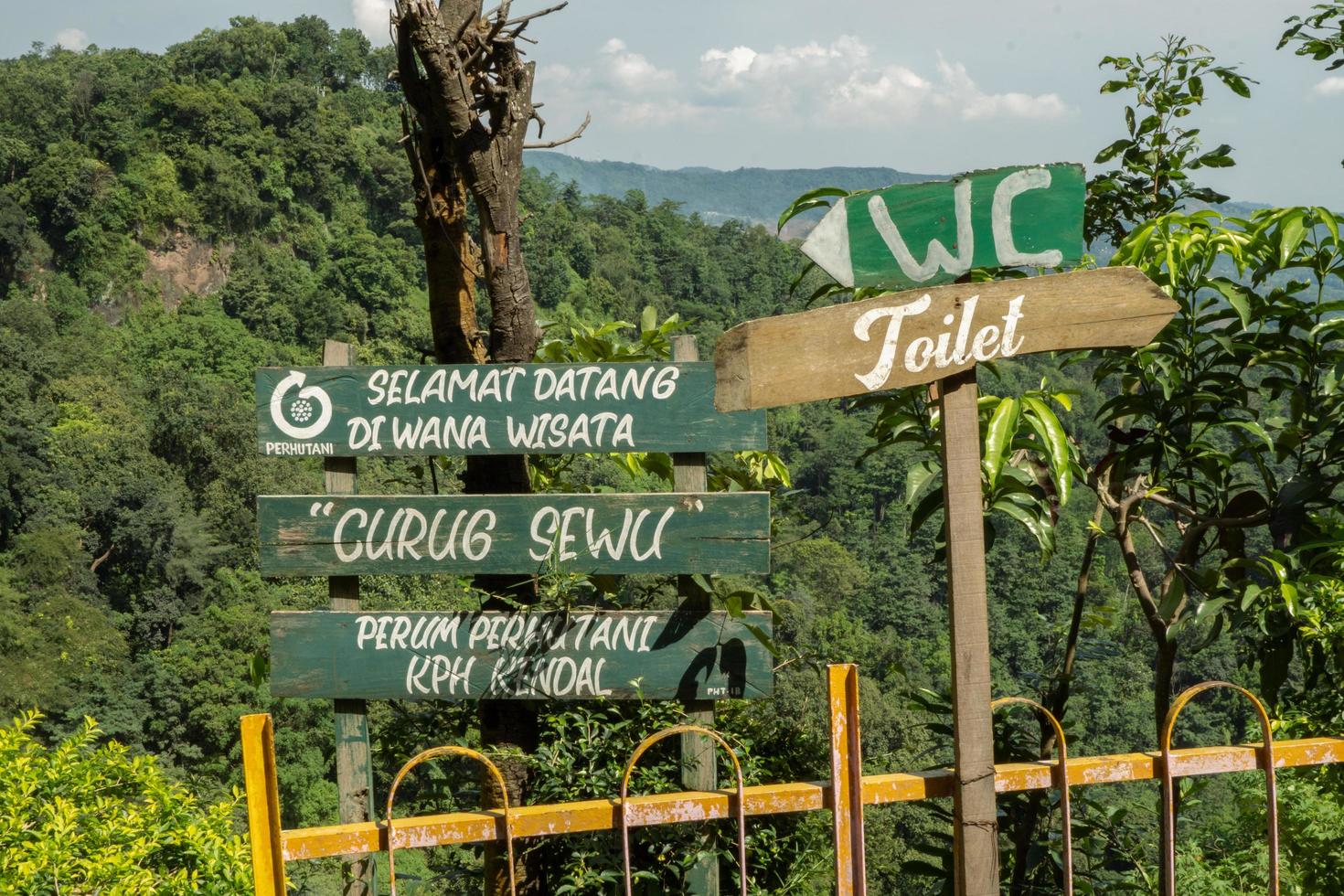 The way going to great cave on the tropical forest when spring season. The photo is suitable to use for adventure content media, nature poster and forest background.