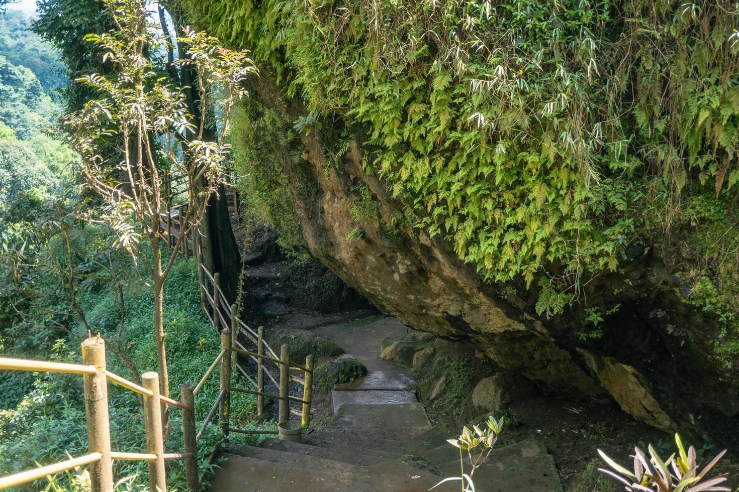 el camino yendo a genial cueva en el tropical bosque cuando primavera estación. el foto es adecuado a utilizar para aventuras contenido medios de comunicación, naturaleza póster y bosque antecedentes.