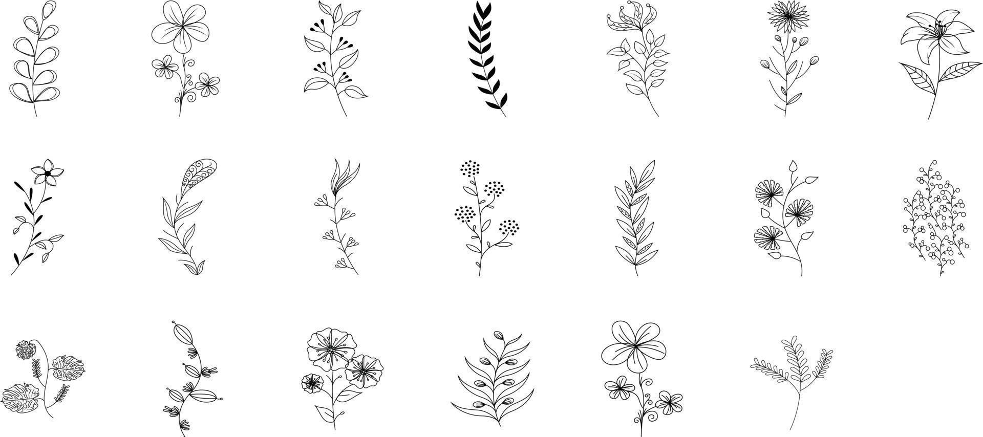 Hand Drawn Botanical Set vector