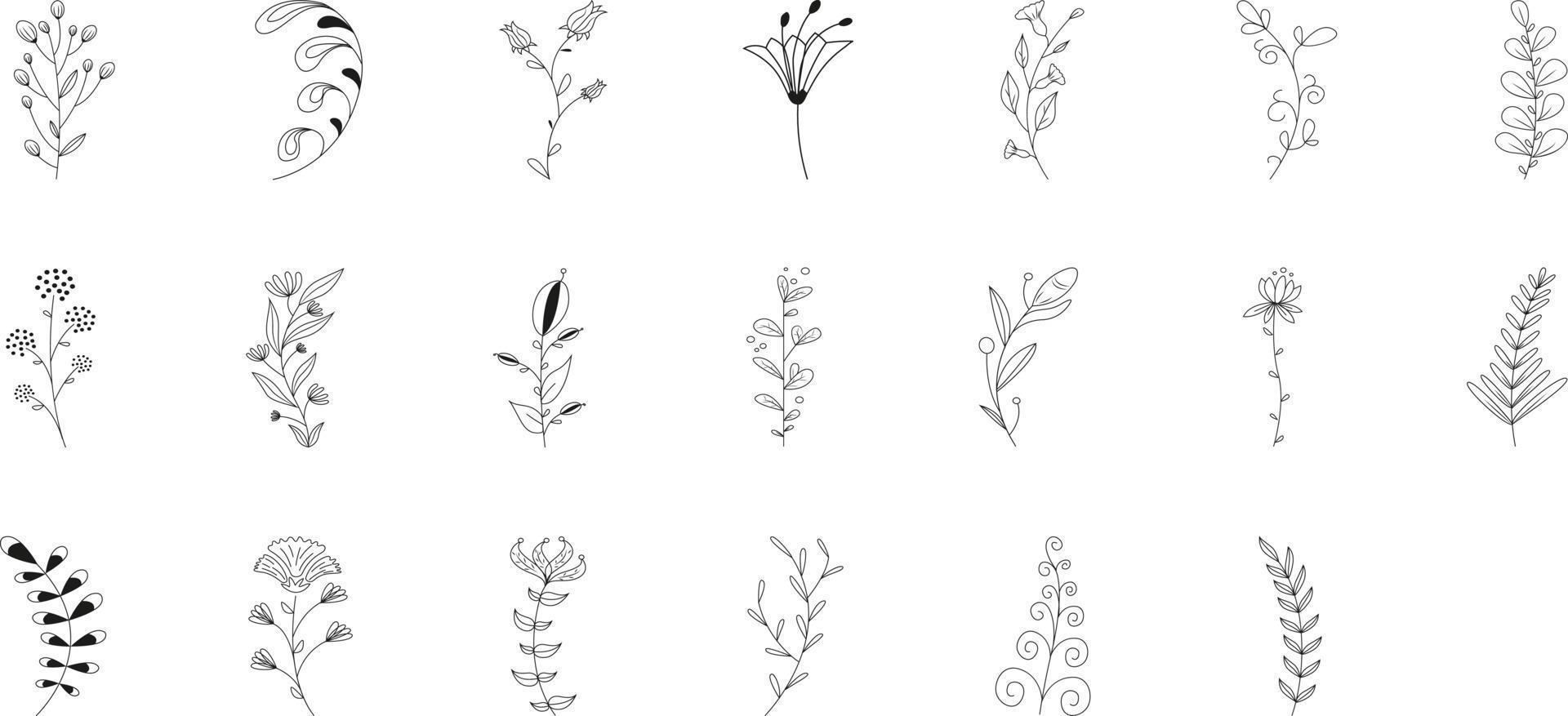 Botanic Branch Set vector