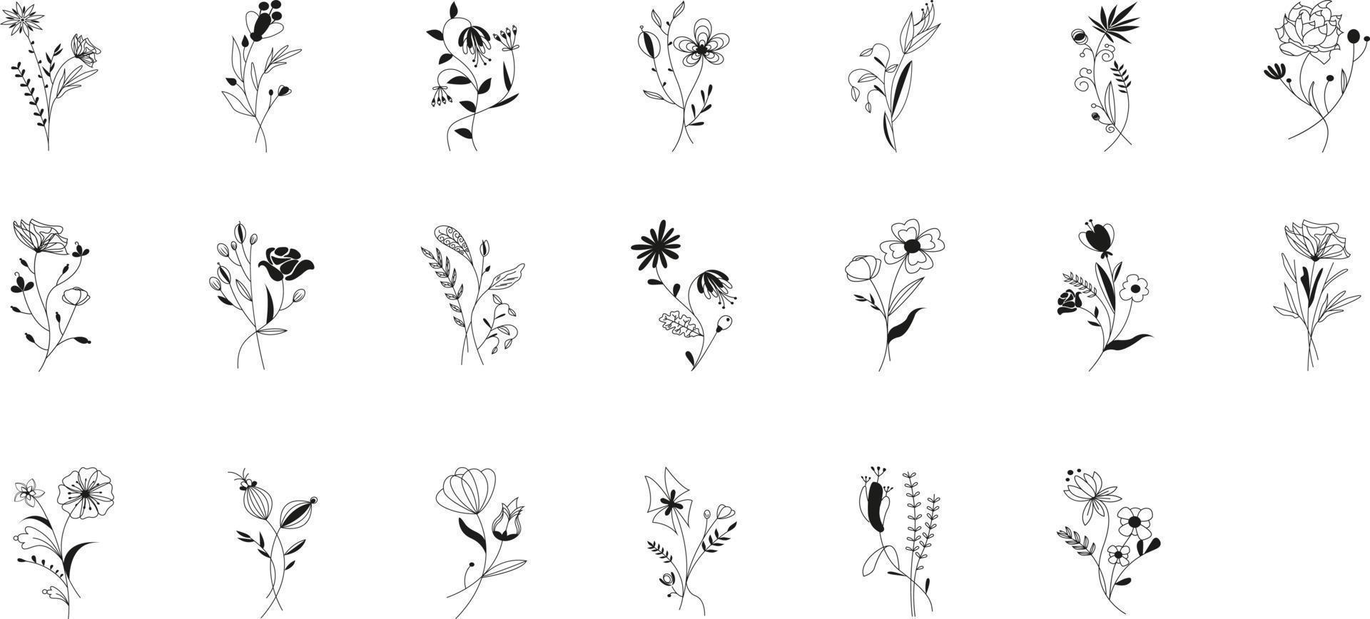 Meadow Botanical Set vector