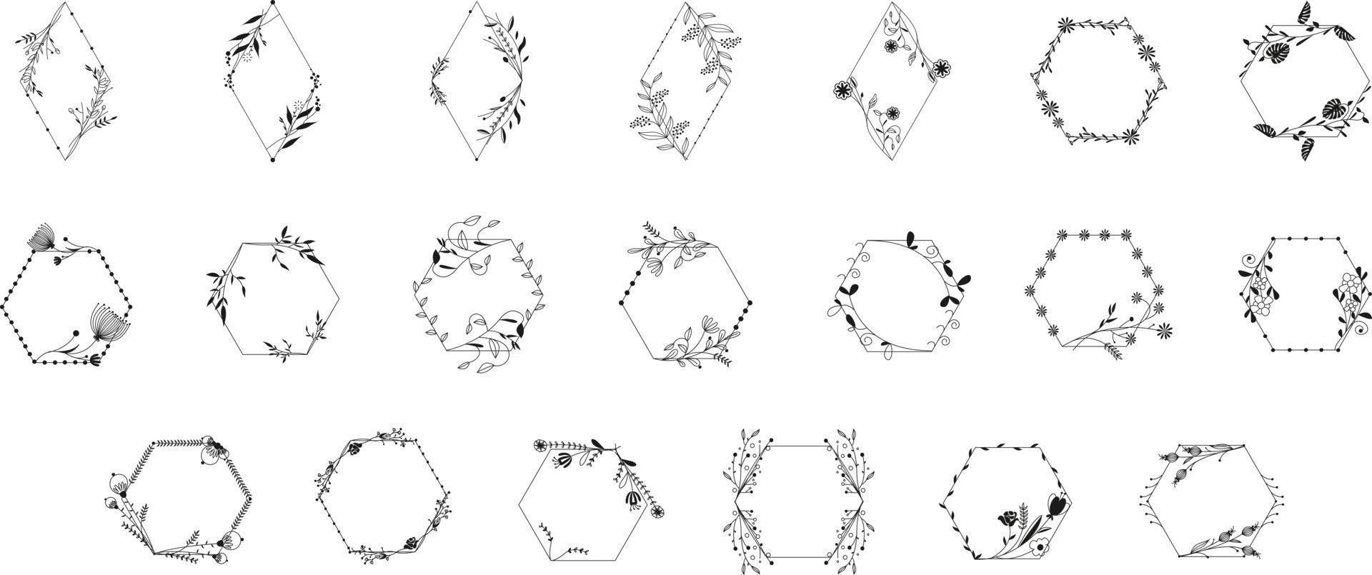 Botanical Frame Set vector