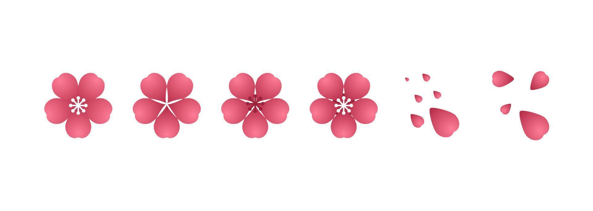 Cherry blossom illustration. Design elements of invitation, frame, banner, greeting card. vector