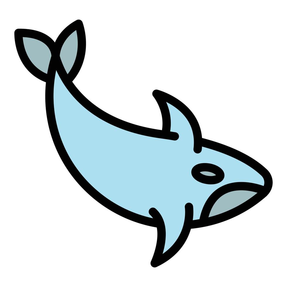 Dolphin orca icon vector flat