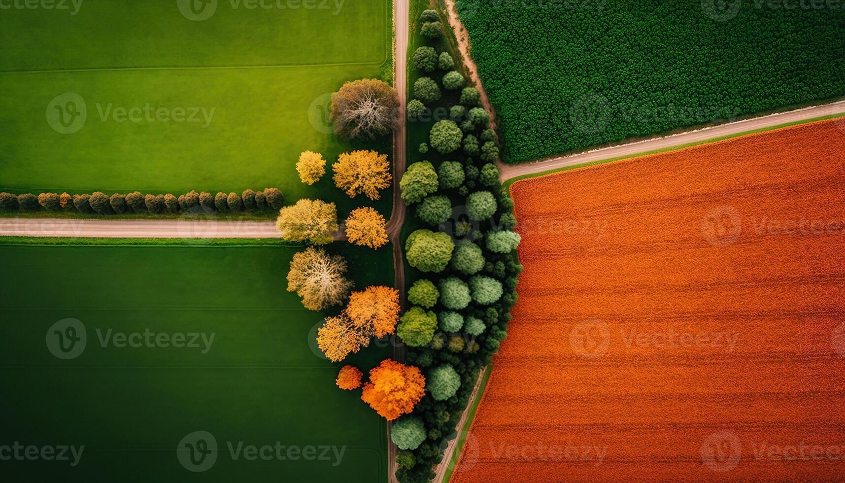 , Farm landscape, agricultural fields, beautiful countryside, country road. Nature Illustration, photorealistic top view drone, horizontal banner. photo