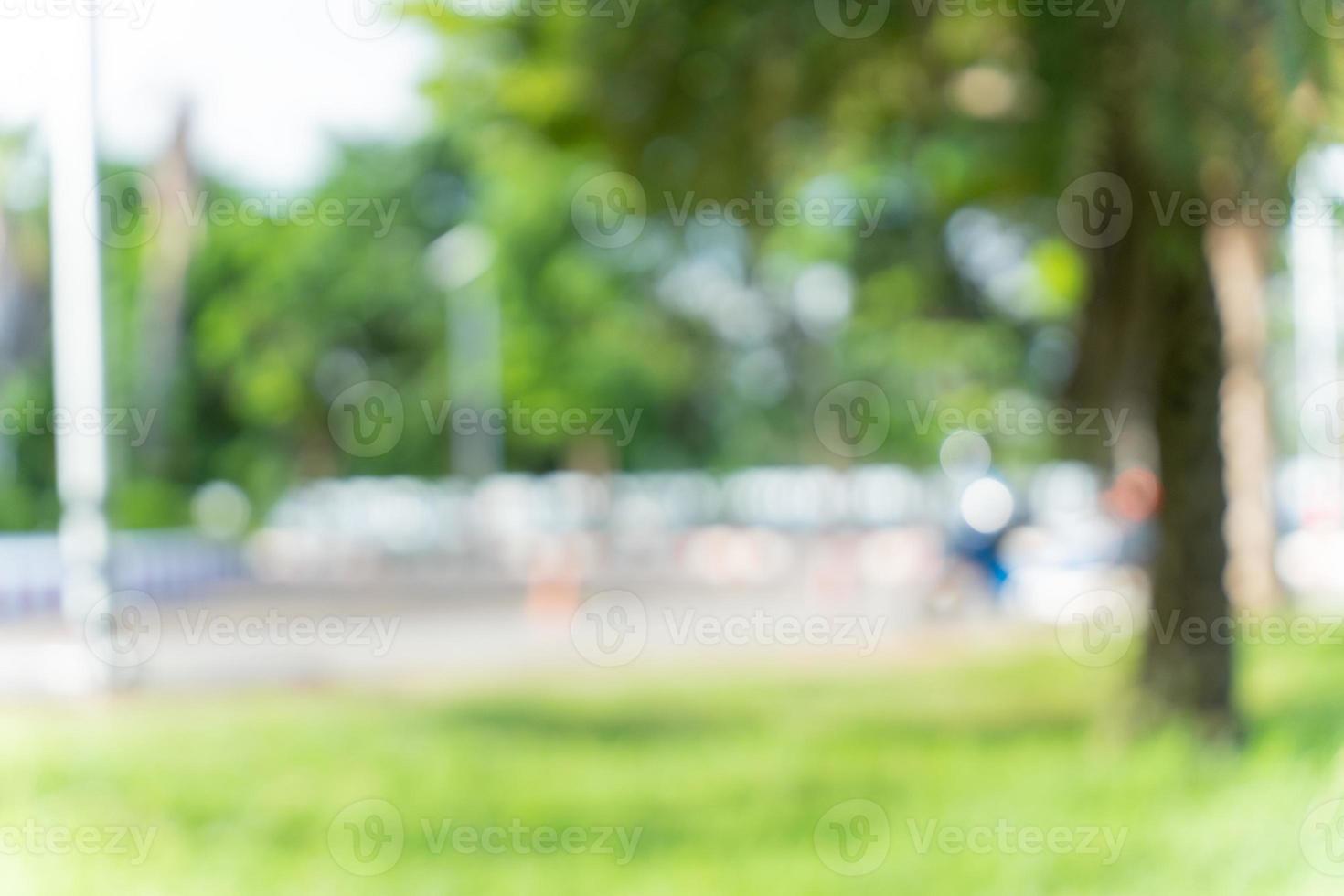 Abstract green nature bokeh background. Soft background blur of natural foliage. photo