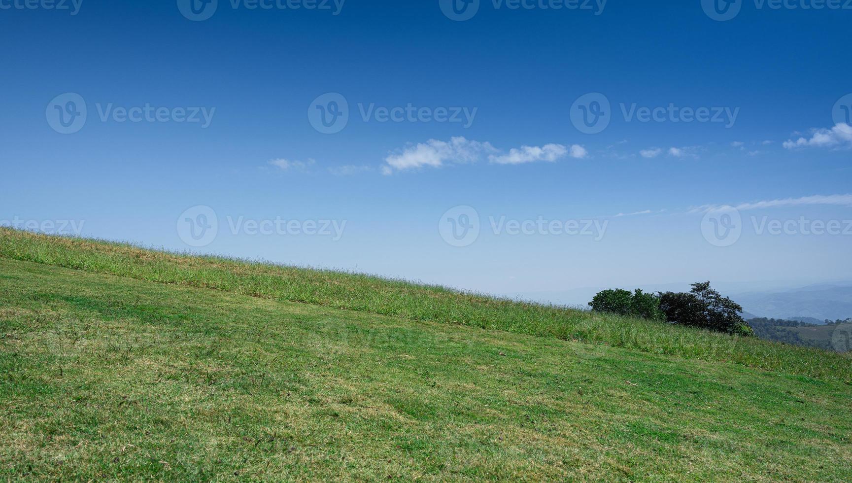 beautiful grass field with blue sky. Countryside landscape view background. photo