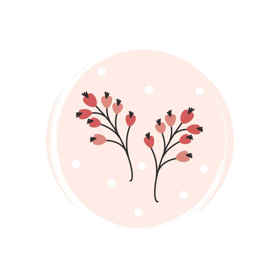 Cute christmas branches with red berries icon vector, illustration on circle with brush texture, for social media story and highlights vector
