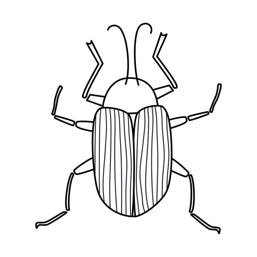 linda negro y blanco vector Arte diseño con escarabajo insecto mano dibujado ilustración para colorante libro