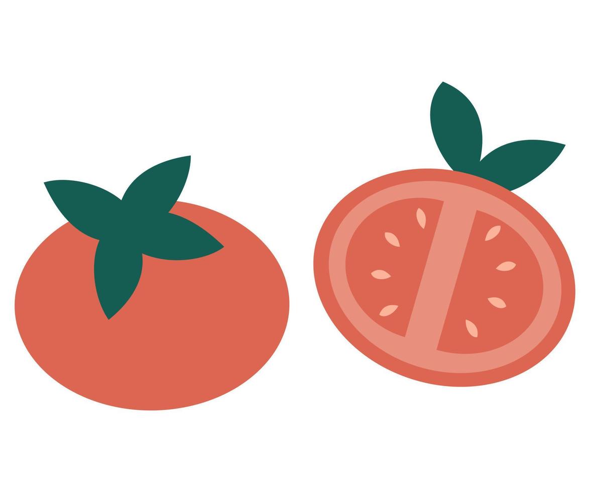 tomate aislado en blanco antecedentes vector ilustración