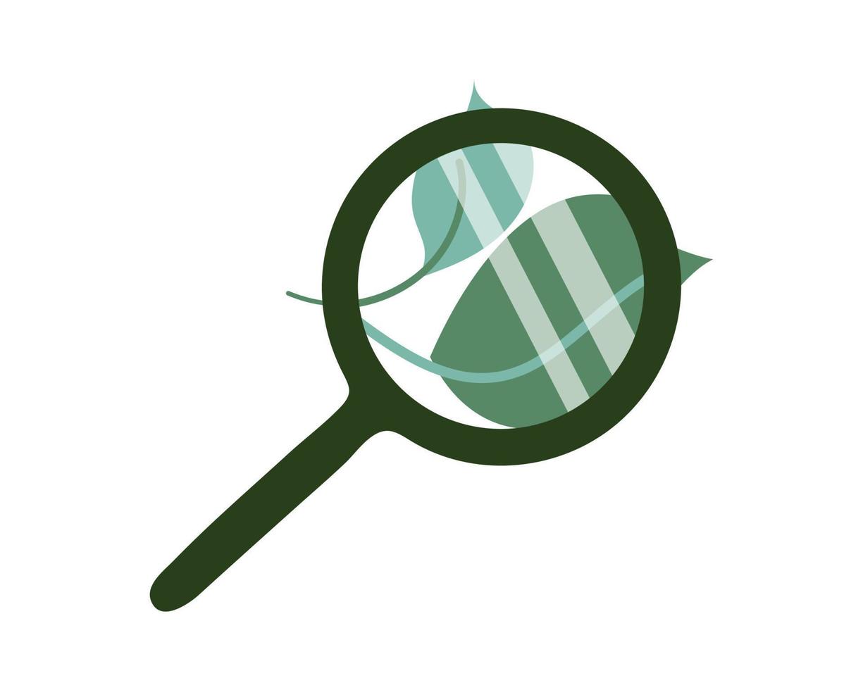 Green leaves under magnifying glass vector illustration