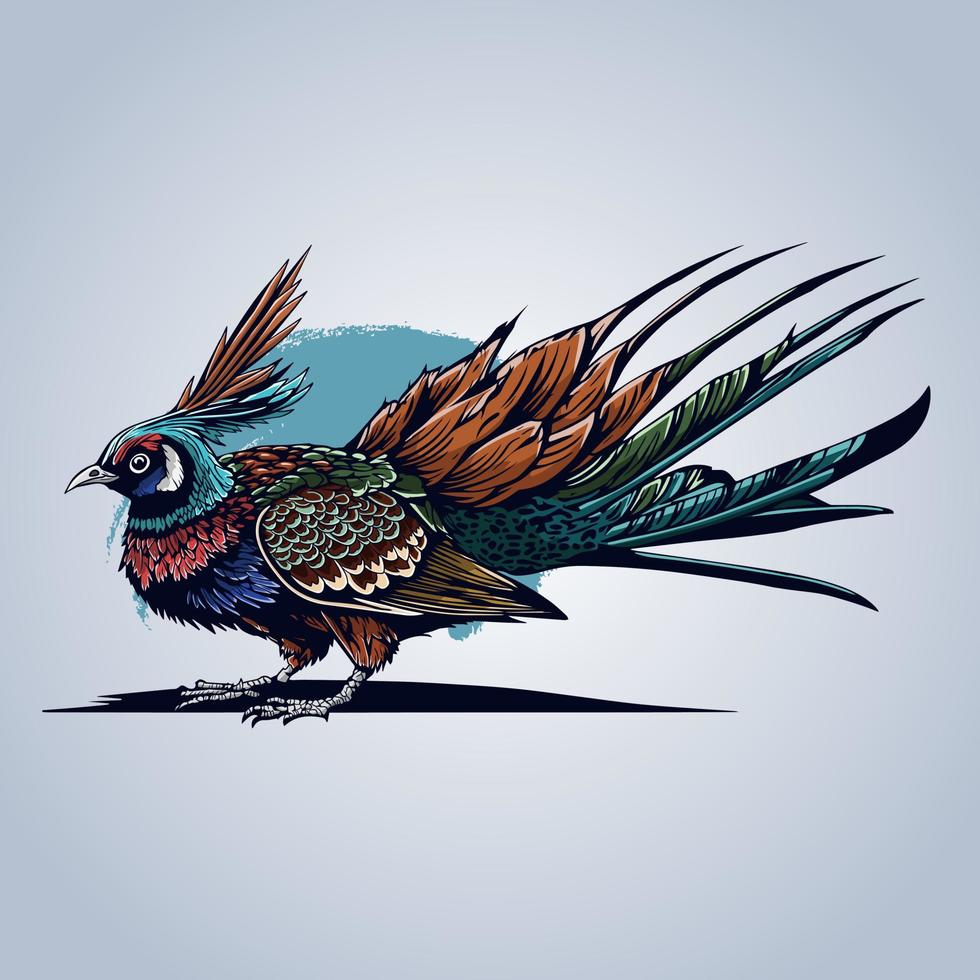 Exotic Bird Colorful Beautiful Vector Illustration