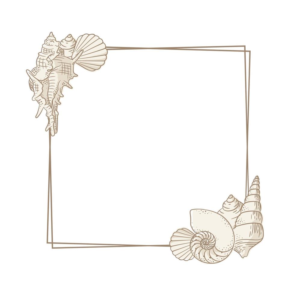 Square seashell frame. Sea and ocean design template. Vector illustration