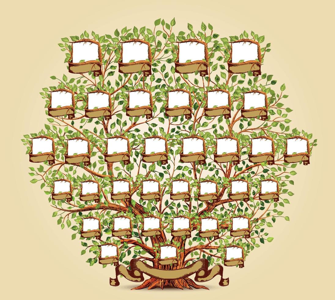 Ilustración de vector de plantilla de árbol genealógico