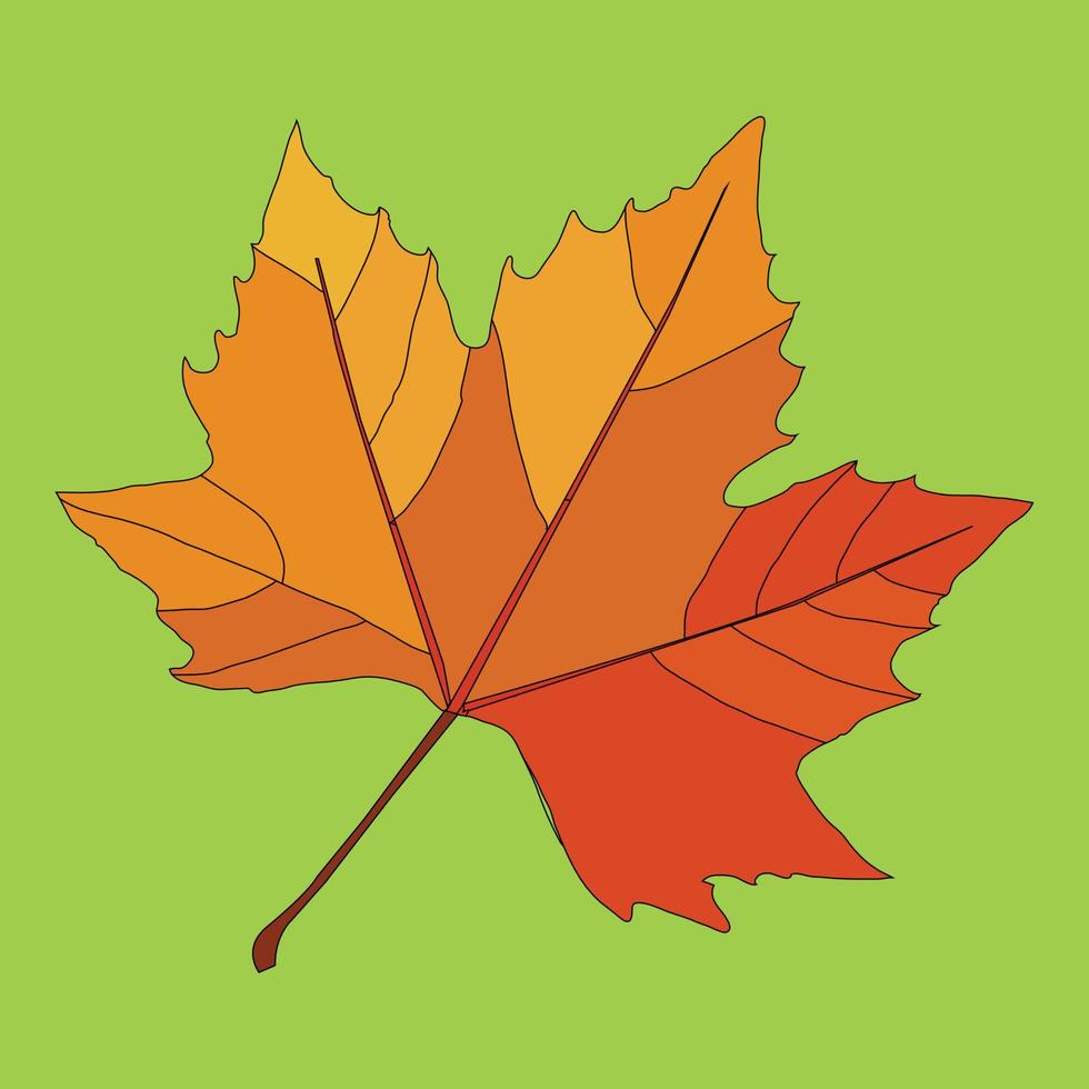 un hermosa otoño hoja ilustración vector Arte diseño