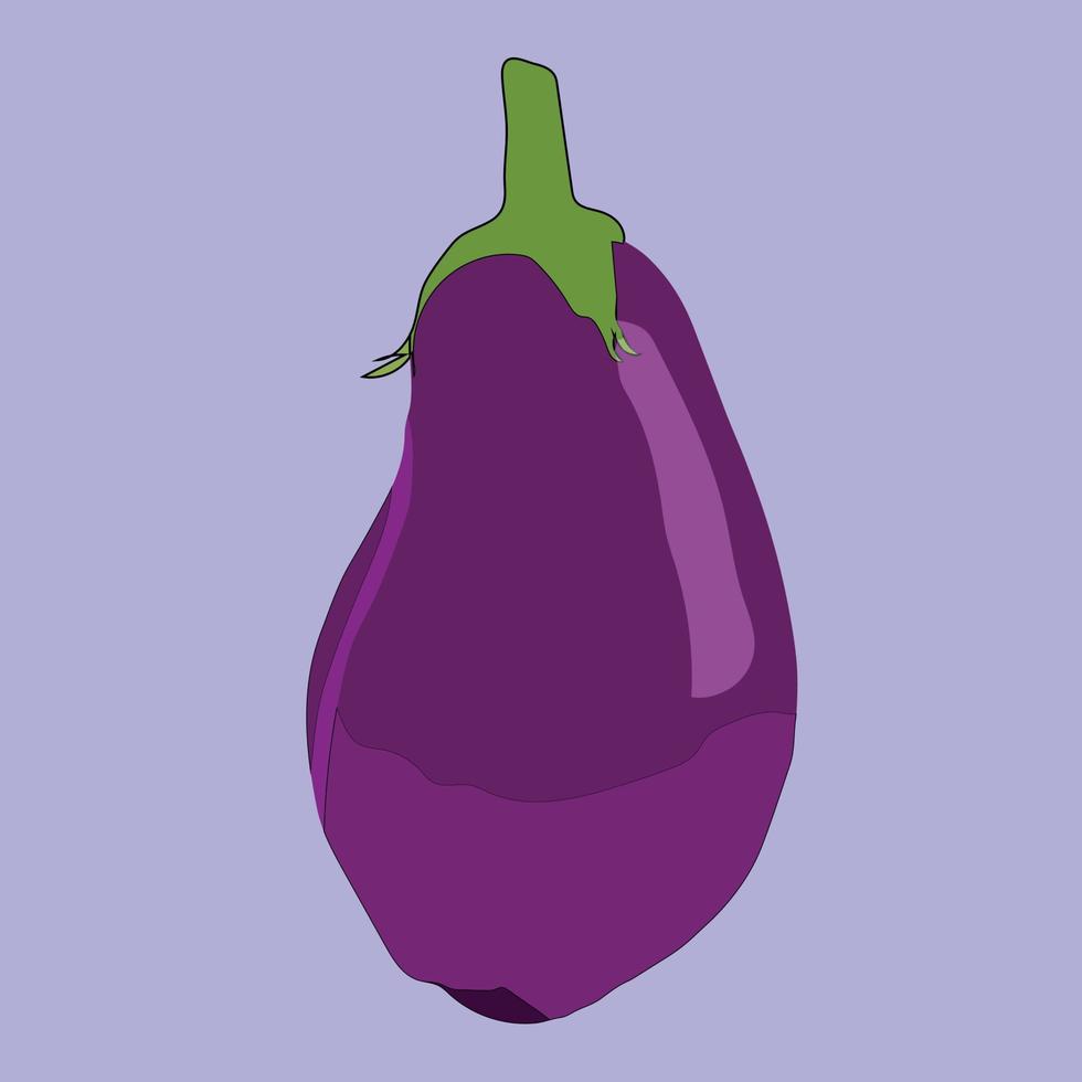 A Beautiful eggplant vegetable Vector Art design