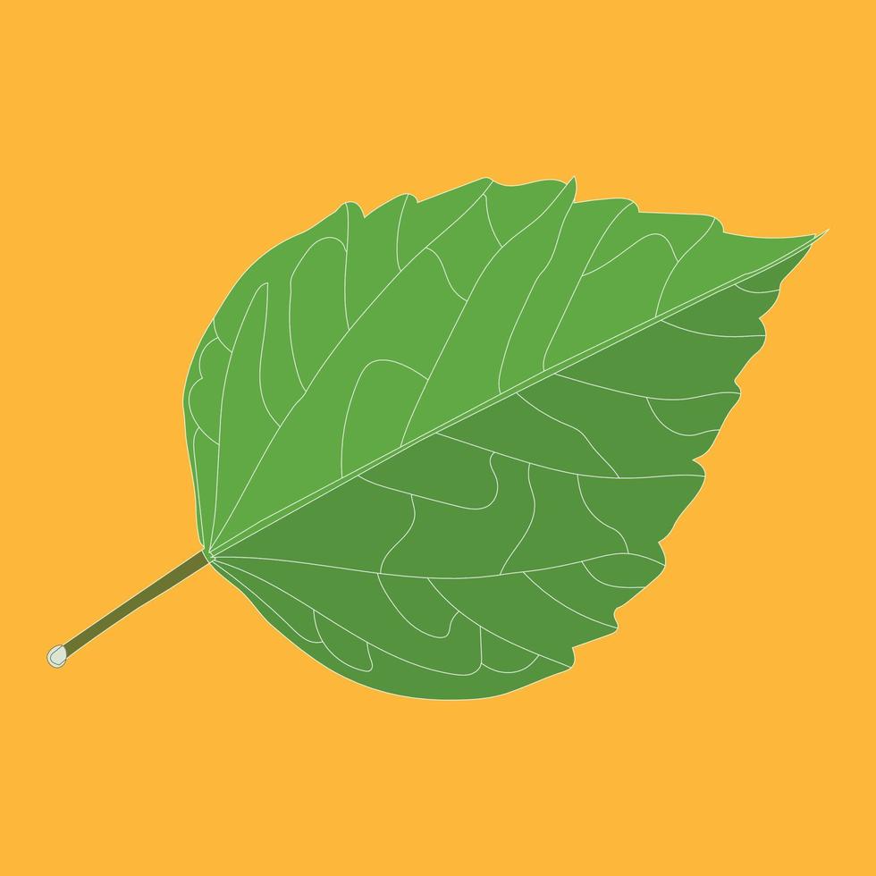 A beautiful Fall Leaf illustration vector art design