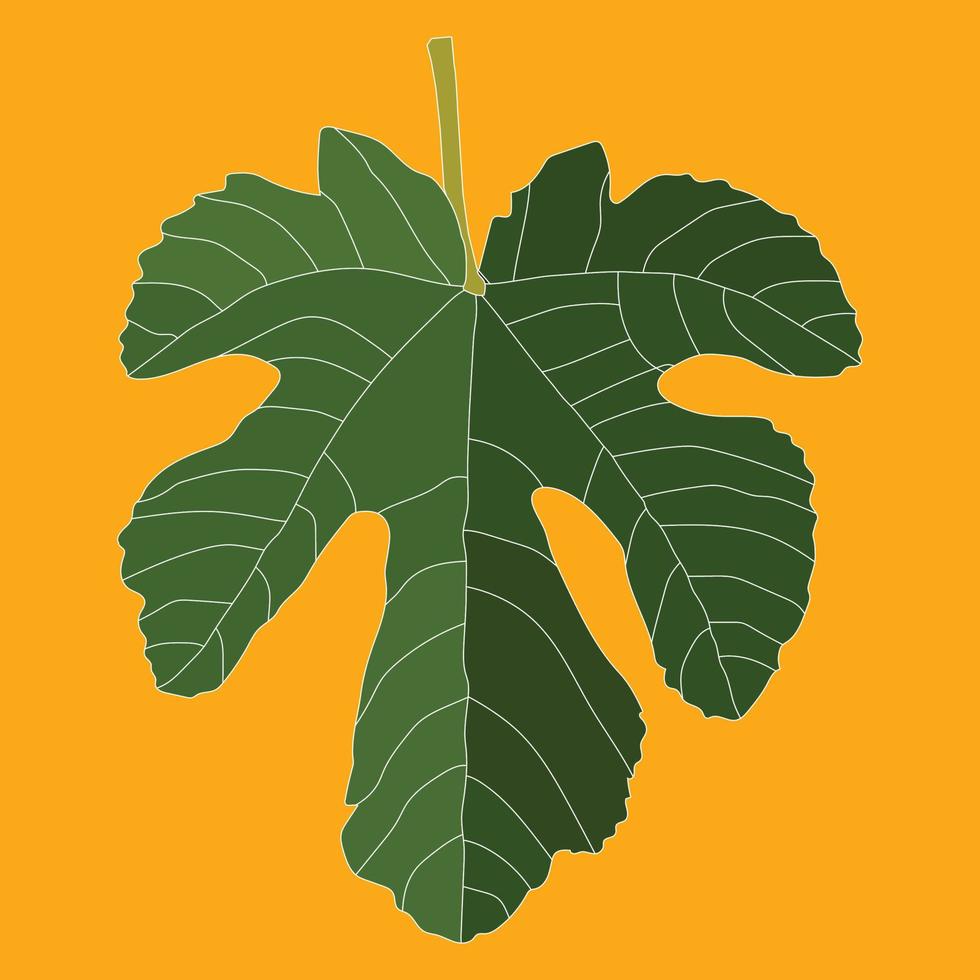 A beautiful Fall Leaf illustration vector art design