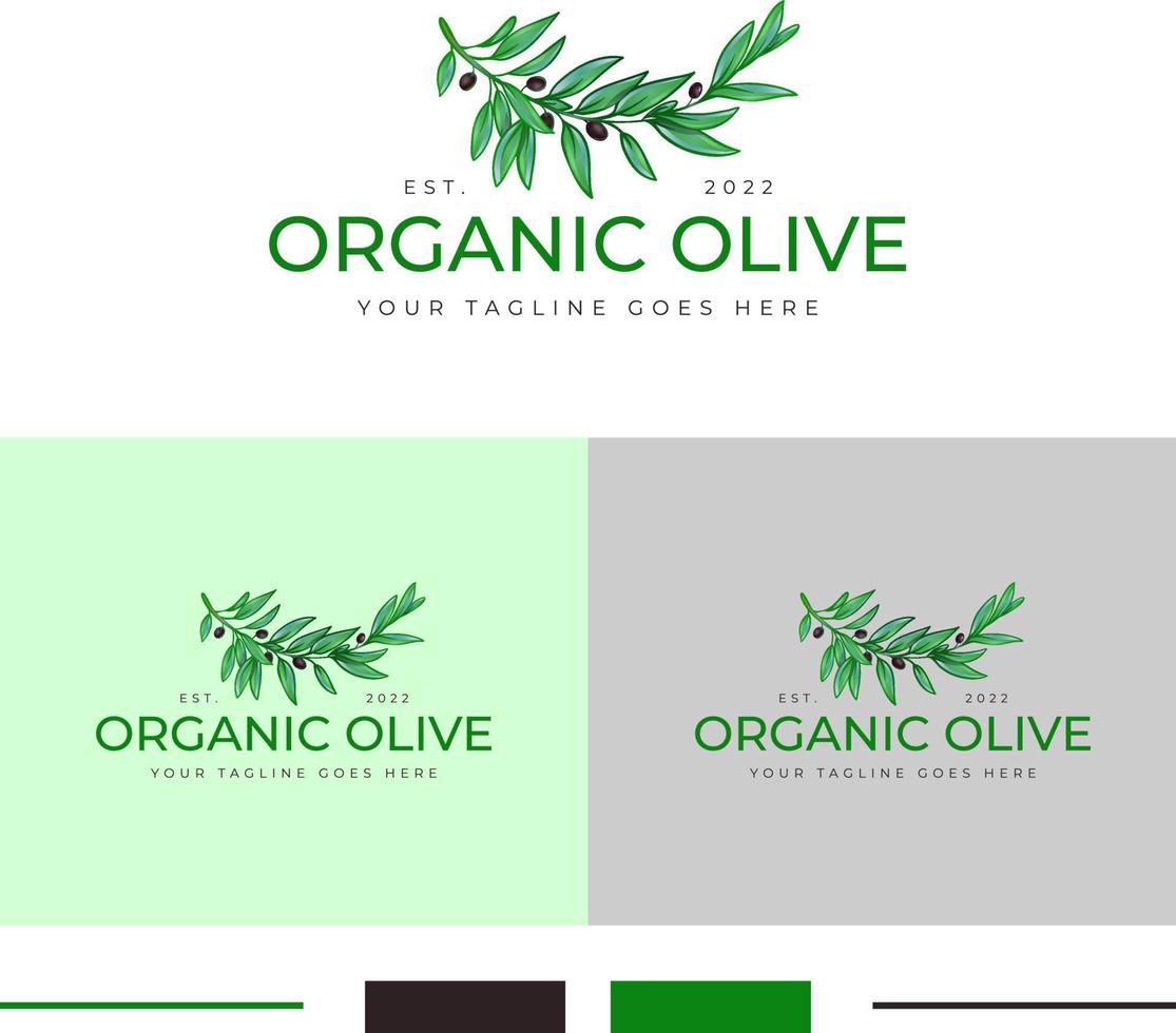 Organic olive logo design, olive leaf, olives logo design vector