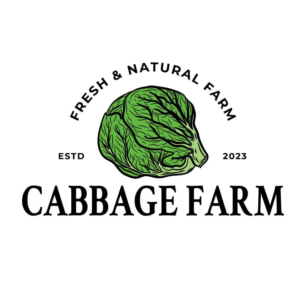 Cabbage botanical hand drawn Isolated vector illustration. Organic vegetarian product. Cabbage set applicable for restaurant menu or packaging, label, poster, print. Engraving style.