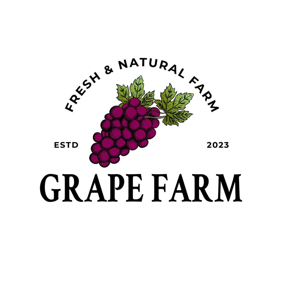 Grapes Logo. Hand drawn engraving style illustrations. vector