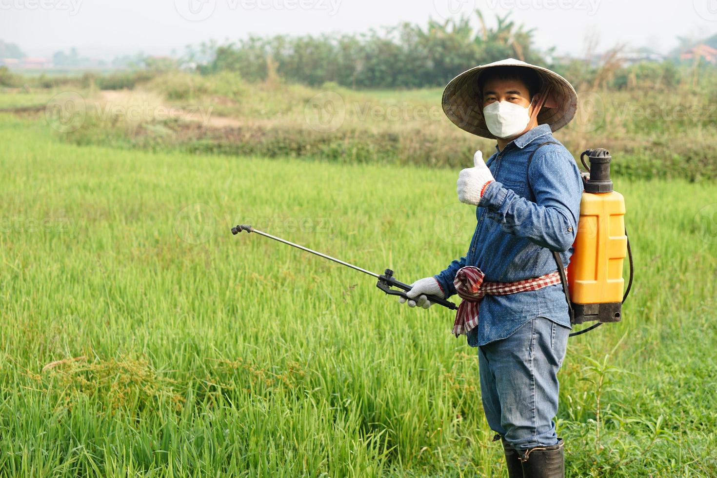 Asian farmer is spraying organic fertilizer at paddy field. Thumb up.  Concept using friendly product with environment Agriculture with no chemicals using. Safety with user and environment. photo