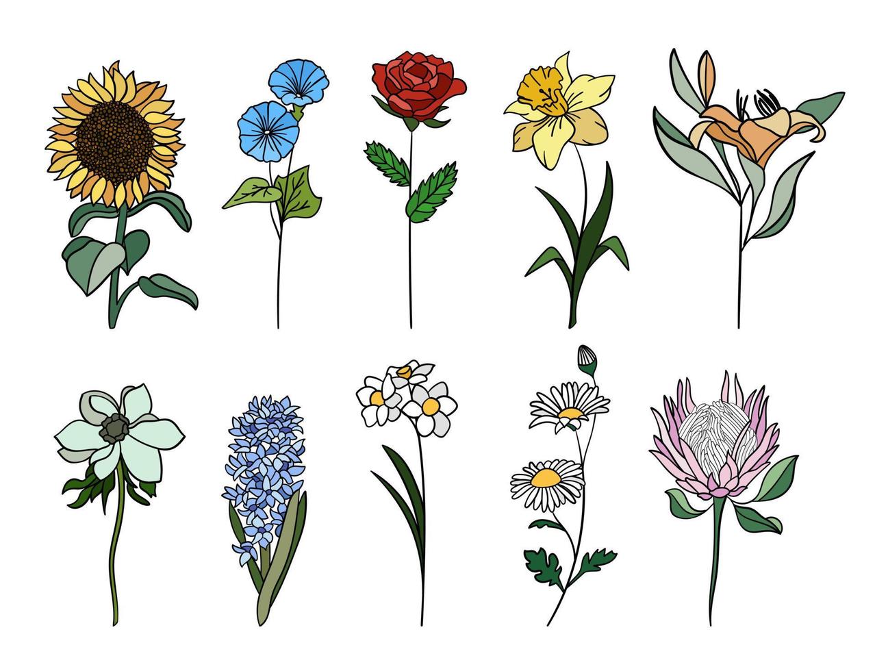 realista vistoso flores colocar. Perfecto para ilustraciones y botánico educación. vector
