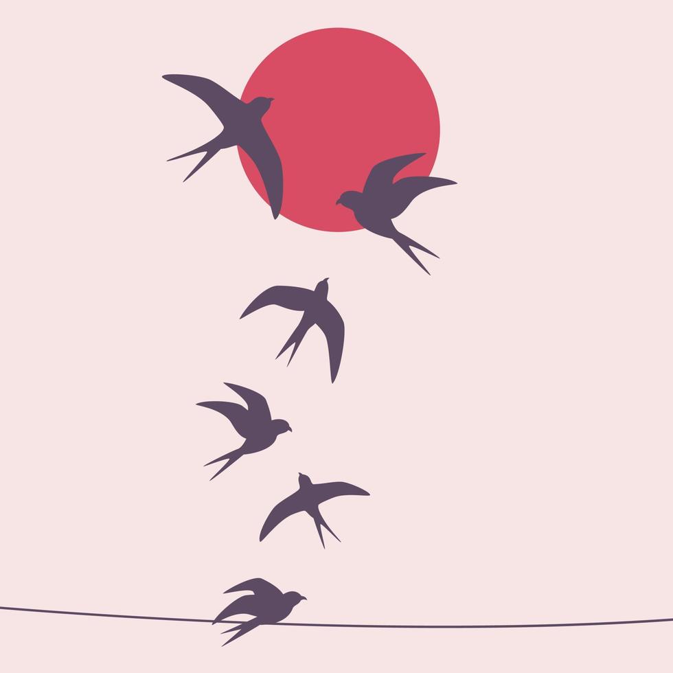 birds silhouettes at the sunset vector