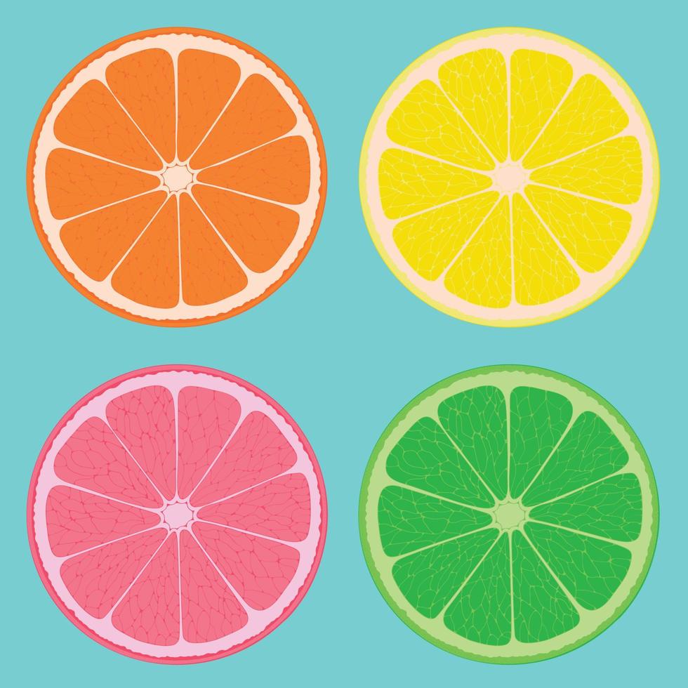 naranja, limón, pomelo y Lima. cortar fruta. cuatro rebanadas de agrios. vector