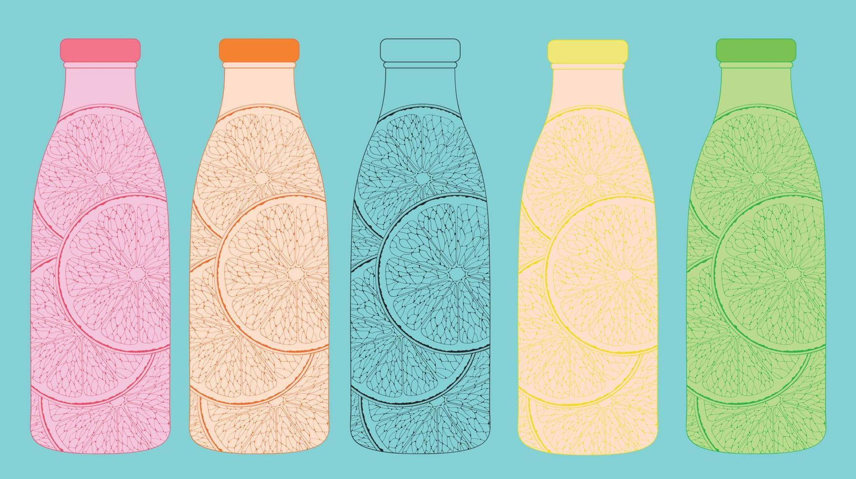 Five bottles with fruit slices in contours. Orange, lemon, lime, grapefruit and citrus fruits black and white illustration. vector