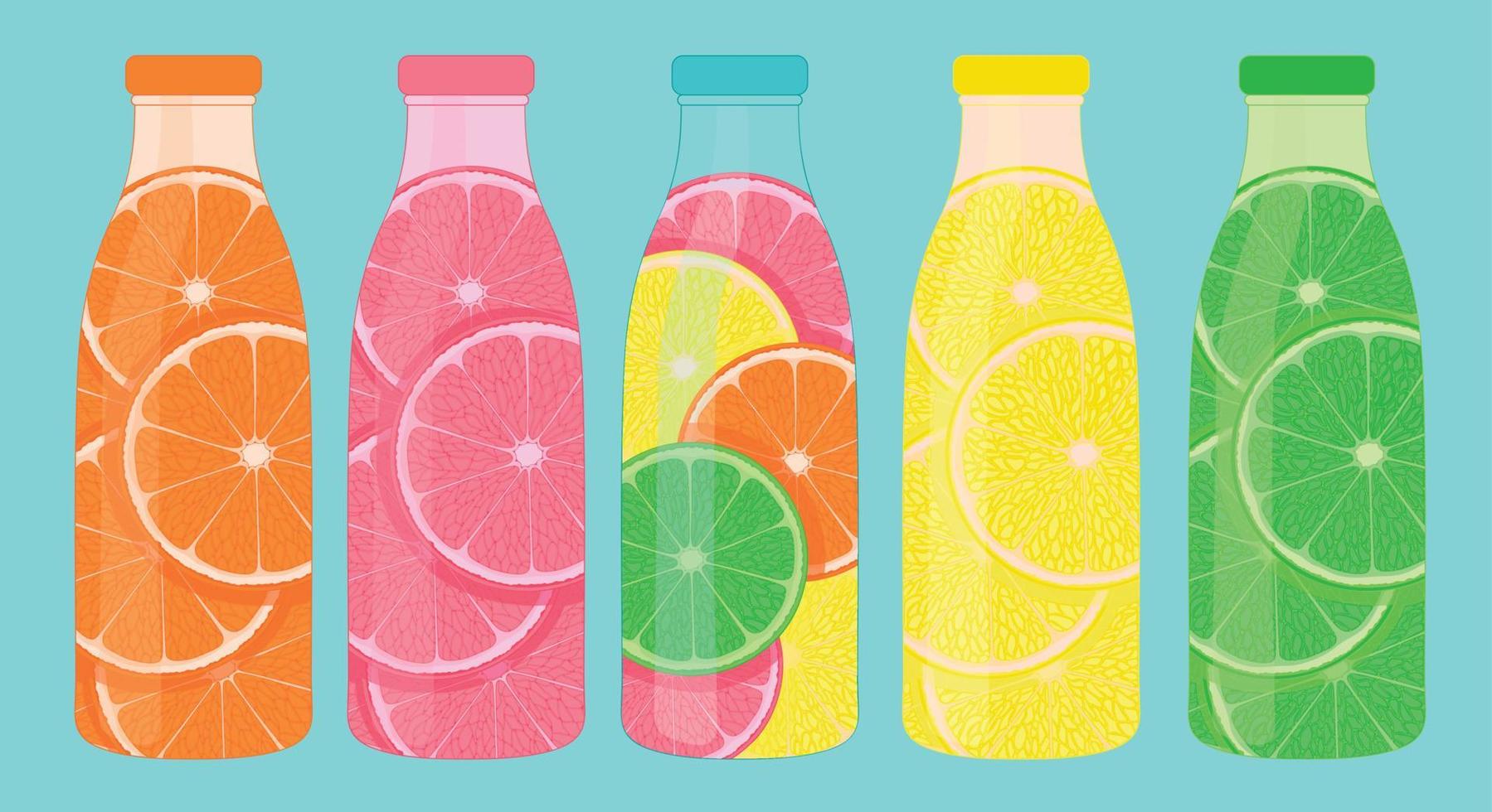 Five bottles with fruit slices. Orange, lemon, lime, grapefruit and citrus fruits color illustration. vector
