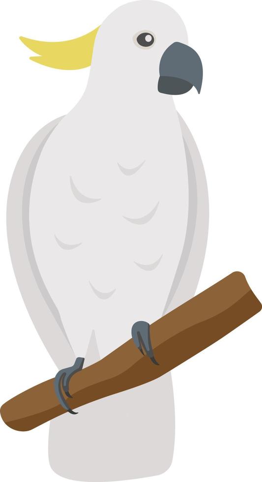 Cute flat cockatoo isolated on transparent background. Vector white parrot.