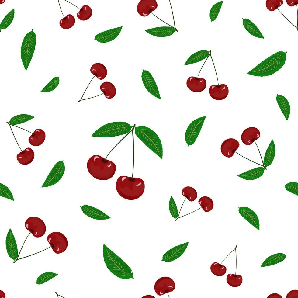 Vector seamless pattern with delicious red cherry berries and leaves on a white background. Healthy food print